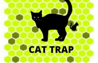 Trap The Cat