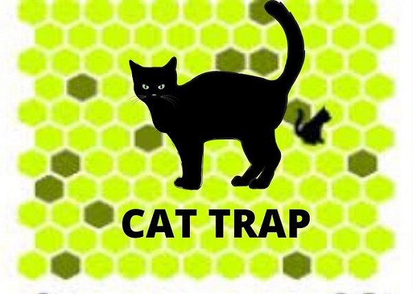 Trap The Cat 1027